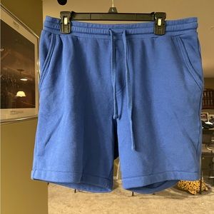 Men’s Large Blue Jogger Shorts